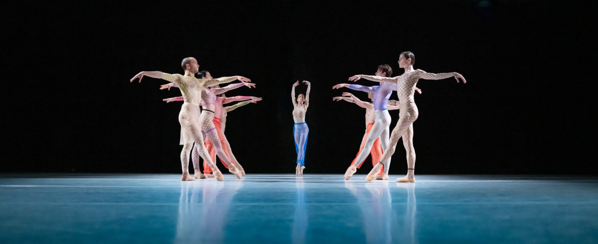 Body without organs © Thomas Schermer